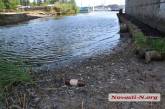 В Николаевской области КП сбросило сточные воды в Южный Буг — ущерб 200 тысяч