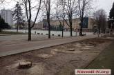 У Миколаєві біля будівлі мерії спилили багаторічні блакитні ялинки (фото)