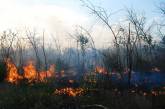 За неделю на Николаевщине произошло 85 пожаров на открытых территориях