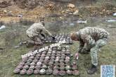 В поселке Николаевской области обнаружили 200 мин