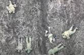 Николаевские морпехи показали, как штурмовая группа РФ «совершила шаг доброй воли» (видео)