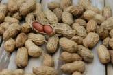 В Украину завезли ядовитый арахис из Египта: продукт уже продавали в Одессе
