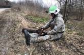 На Київщині співробітники ДСНС врятували пораненого оленя (фото)