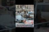 Одесские СМИ показали, как призывников сажают в бусы и увозят (видео)