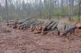 На Миколаївщині підприємцям незаконно віддали землі, призначені для лісорозведення