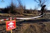 В Николаевской области житель села подорвался на мине