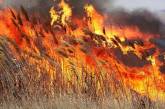 Под Николаевом горел камыш: пожарные говорят о поджоге