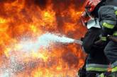 На Одесчине заживо сгорела сжигавшая мусор женщина