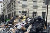 У Парижі через страйки на вулицях зібралося 10 тонн сміття (фото)