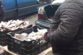 У Миколаєві незаконно продають рибу та раків: в екоінспекції зафіксували 9 випадків