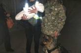 Под Киевом пес разыскал младенца, которого пьющий отец вынес из дома