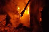 В Николаевской области горел дачный домик – пострадал мужчина