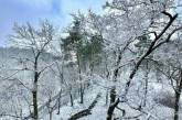 В Украину вернулась зима: на Волыни 15 см снега, Николаеву нужно готовиться к ливням