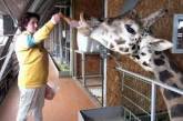 В Николаевском зоопарке отмечают день рождения жирафа Нури