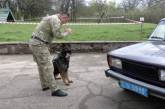 Николаевская полиция показала, как учит собак искать взрывчатку и наркотики (видео)