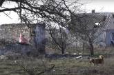Деокупована Максимівка: що потрібно селу, яке перебувало під окупацією 8 місяців (відео)