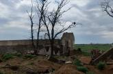 Село під Миколаєвом після окупації: у посадках ворожі танки, будинки зруйновані (відео)