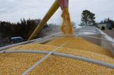 Заборони неприйнятні: Україна вимагає від Польщі та ЄС відновити аграрний імпорт та транзит