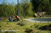 У Миколаєві городяни масово вийшли на прибирання