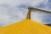Окупанти почали вивозити крадене українське зерно з Маріуполя