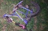 На Миколаївщині п'яний на «Джипі» збив на смерть велосипедиста (фото)