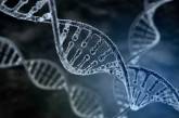 Вчені вперше створили колективний геном людства
