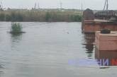 Миколаївські річки потекли у зворотному напрямку (відео)