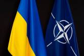 Члени НАТО можуть відправити війська в Україну, - The Guardian