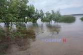 В Николаеве начал снижаться уровень воды