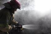 В Николаевской области спасли женщину из горящего дома