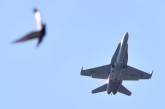 Украина подала запрос в Австралию по истребителям F-18, - посол