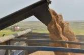 В Україні перевиконали план посівної по зерновим