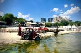 Солоність моря на узбережжі Одеси знизилася більш ніж удвічі