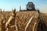 Посівних земель у Миколаївській області поменшало, продукція впала в ціні: в ОВА назвали причини