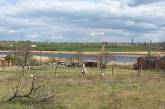 2,5 млн збитків: мешканець Миколаївської області захопив ділянку землі та перекрив сусідам доступ до річки