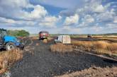 В Николаевской области горели поля с пшеницей: пожар уничтожил более 11 га урожая