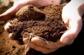 У Миколаївській області досліджують ґрунт на наявність токсичних речовин та паразитів