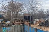 «Черные лесорубы» в Николаевской области нанесли ущерб государству более чем на ₴1 миллион