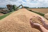 Зерно, олія та цукор дешевшають: світові ціни на продовольство впали до мінімуму за 2 роки