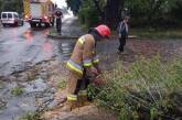 Николаевские спасатели убирали поваленные непогодой деревья (фото)