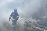 В Очаківській та Куцурубській громадах гасили масштабні пожежі, що виникли після обстрілу (відео)