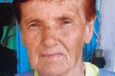 В Николаевской области пенсионерка вышла из дома с ведром смородины и пропала