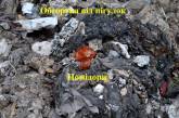 Могло привести к поломке насоса: николаевцы снова превратили канализацию в помойку