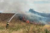 У Миколаєві мало не загинув чоловік, який опинився в осередку пожежі в лісосмузі