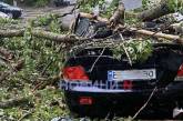 У Миколаєві дерево впало на автомобіль та обірвало електричні дроти (відео)