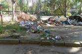 Жители Лесков заклеймили Чайку позором за грязь и мусор в городе
