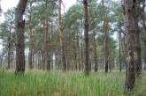 Ділянку лісу у Миколаєві прокуратура вимагає повернути державі, а споруди – знести