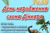 Николаевский зоопарк приглашает отпраздновать день рождения слона Динкара