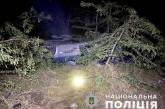 У Миколаївській області ДТП із шістьма постраждалими: винен п'яний водій
