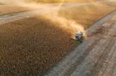З 1 липня по 9 серпня Україна експортувала майже 3 мільйони тонн зернових та зернобобових